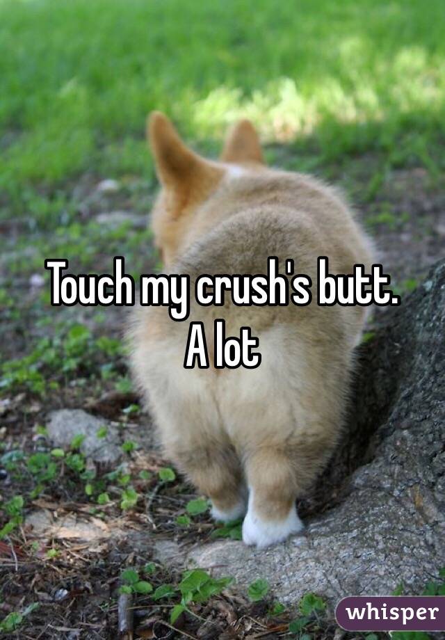 Touch my crush's butt.        A lot