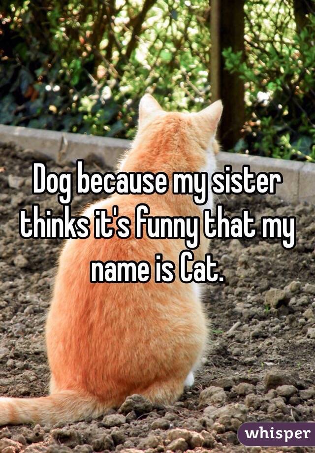 Image result for cat thinks it's a dog meme