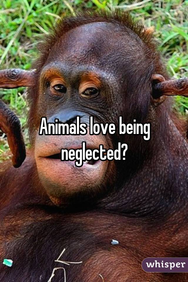 Animals love being neglected?