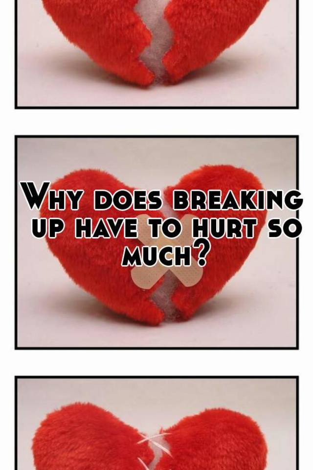 why-does-breaking-up-have-to-hurt-so-much