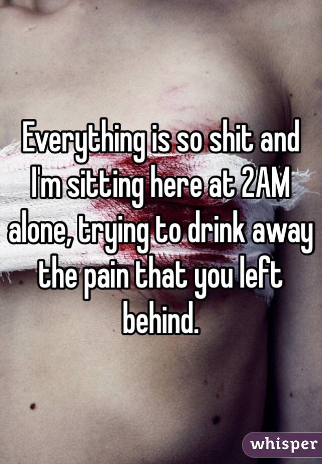 Everything is so shit and I'm sitting here at 2AM alone, trying to drink away the pain that you left behind.