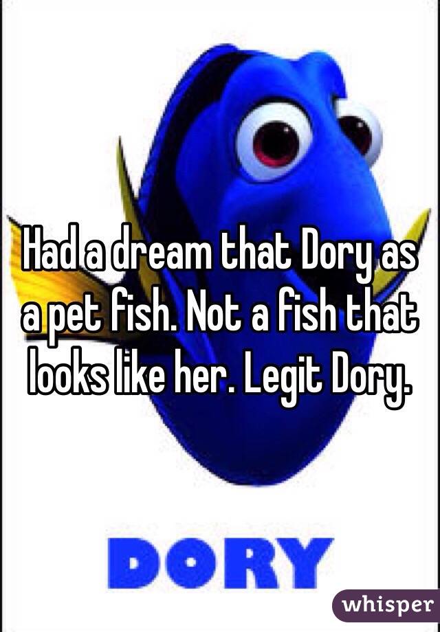Had a dream that Dory as a pet fish. Not a fish that looks like her. Legit Dory. 
