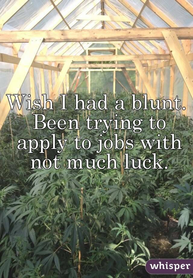 Wish I had a blunt. Been trying to apply to jobs with not much luck.
