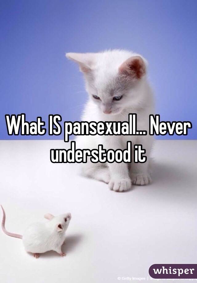 What IS pansexuall... Never understood it