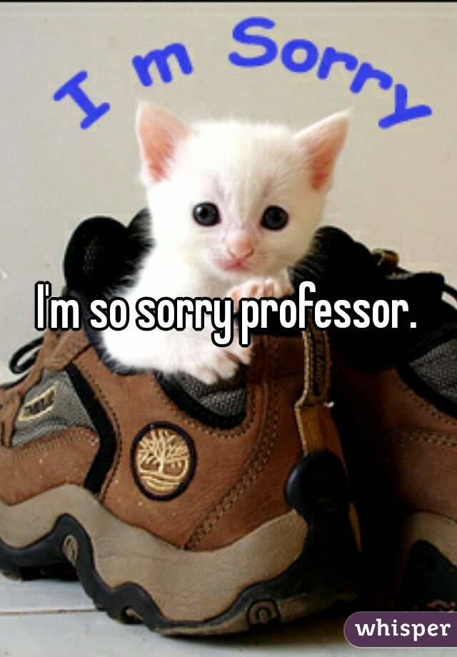 I'm so sorry professor.
