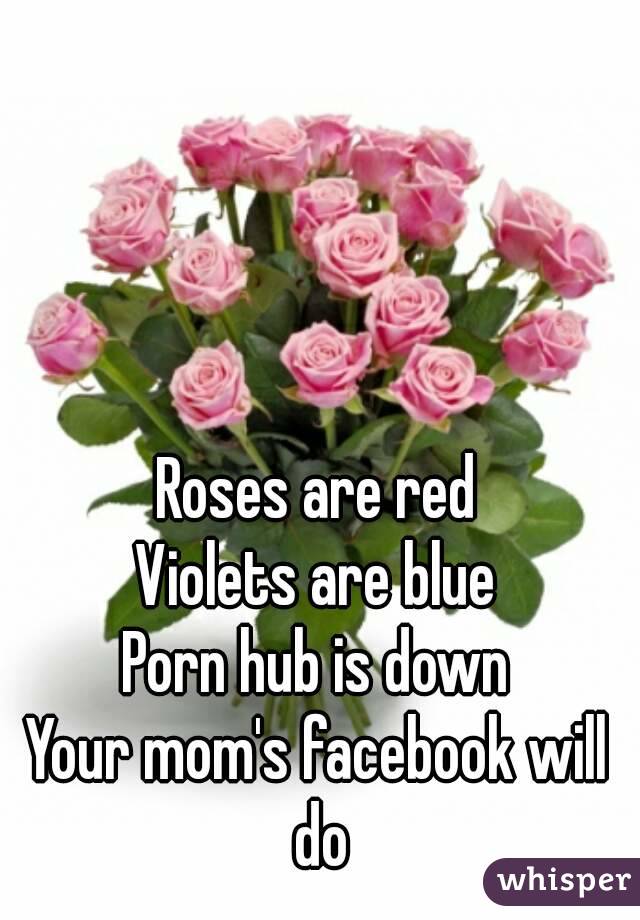 Roses are red
Violets are blue
Porn hub is down
Your mom's facebook will do