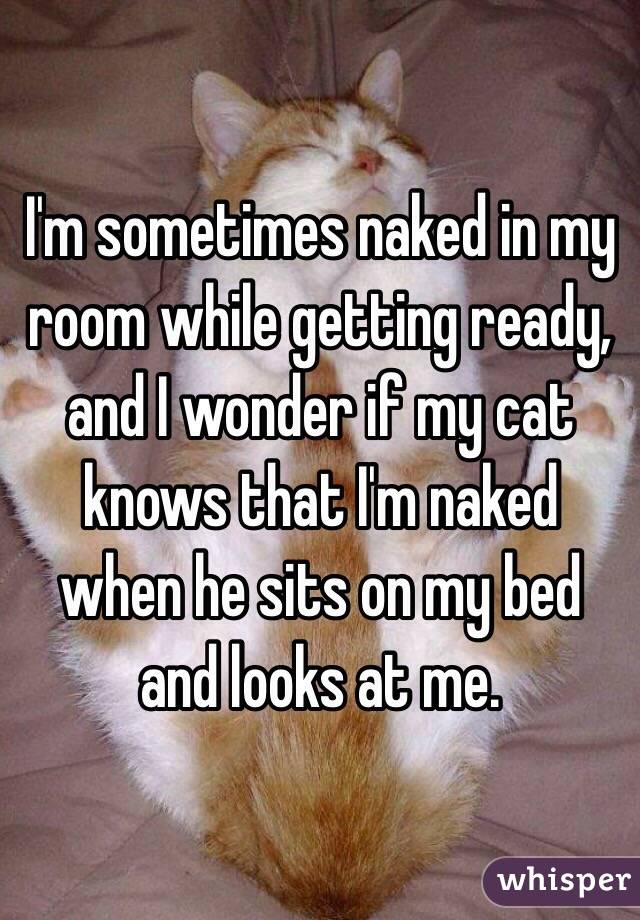 I'm sometimes naked in my room while getting ready, and I wonder if my cat knows that I'm naked when he sits on my bed and looks at me.