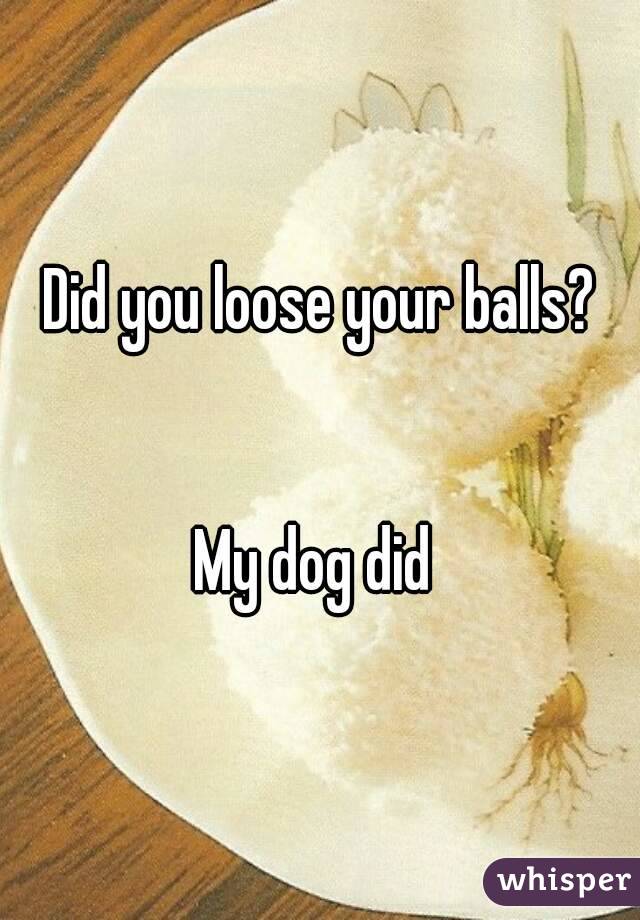 Did you loose your balls?


My dog did 