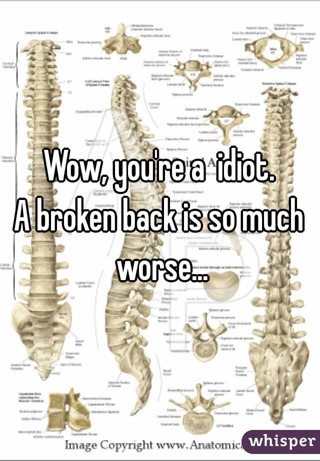 Wow, you're a  idiot.
A broken back is so much worse...