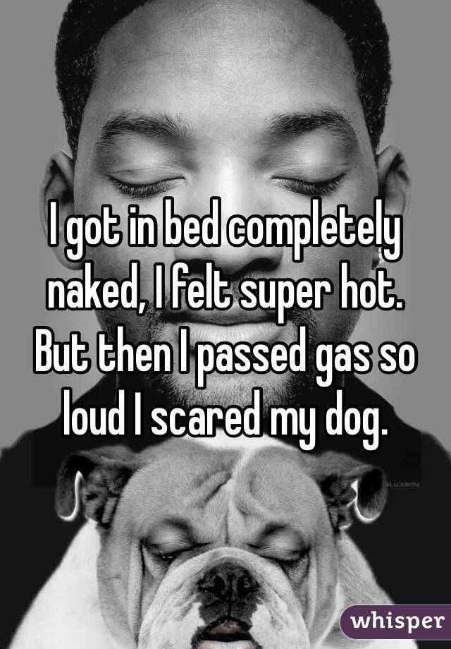 I got in bed completely naked, I felt super hot.
 But then I passed gas so loud I scared my dog.