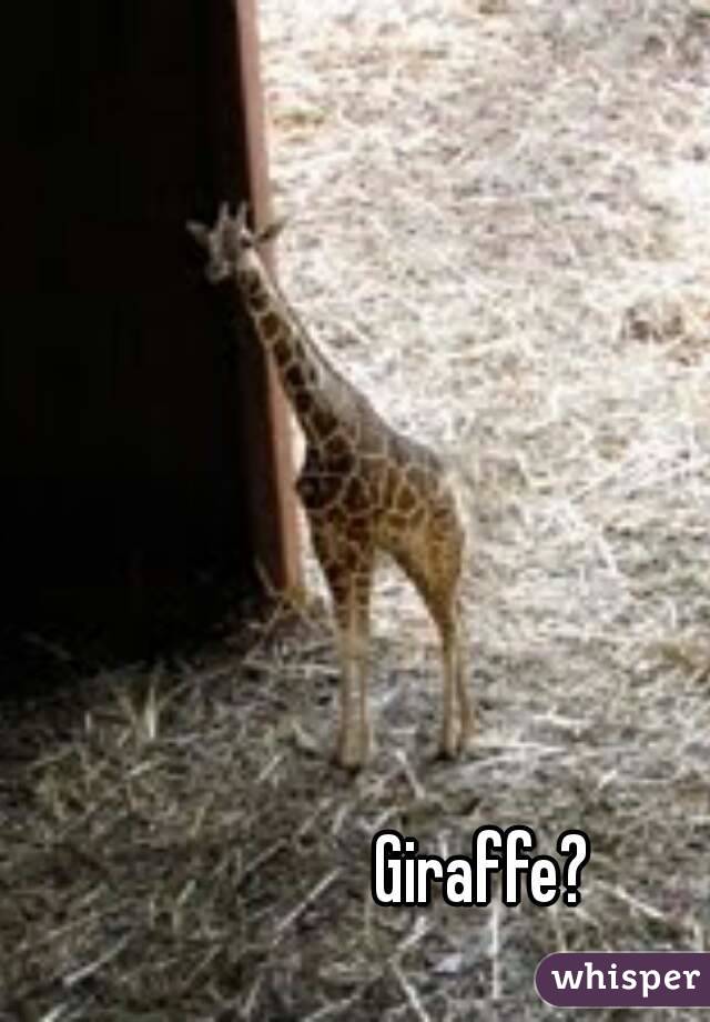 Giraffe? 