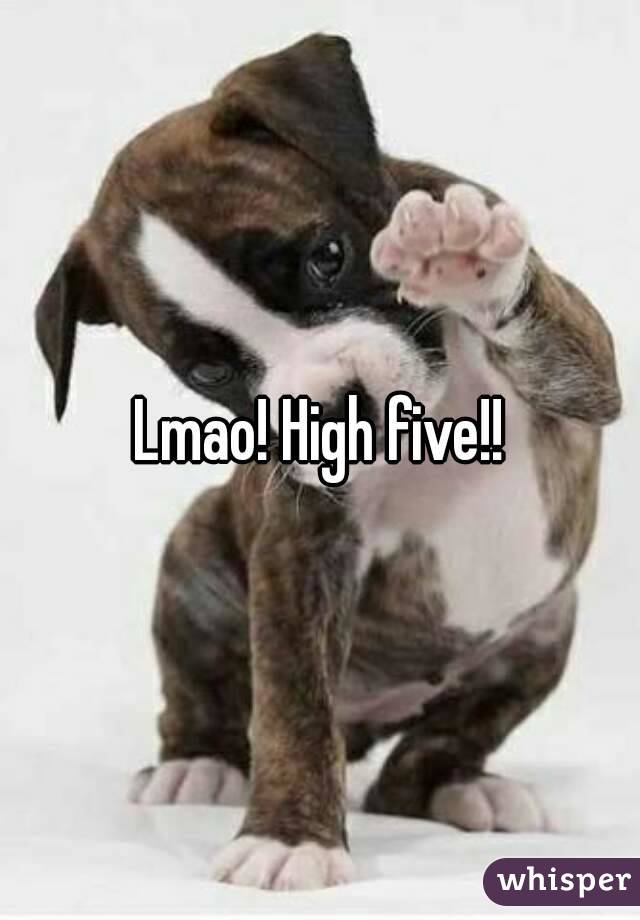 Lmao! High five!!