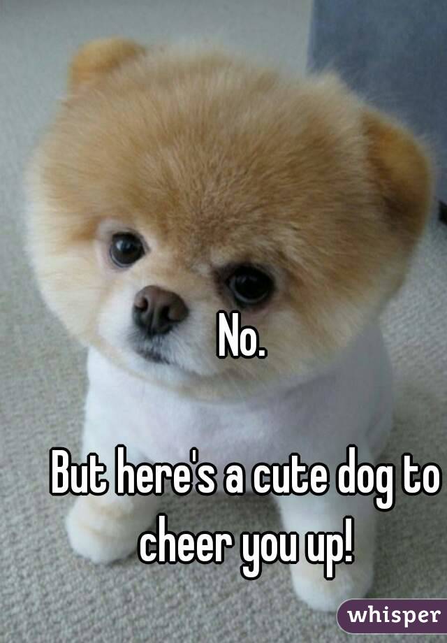 No. 

But here's a cute dog to cheer you up! 