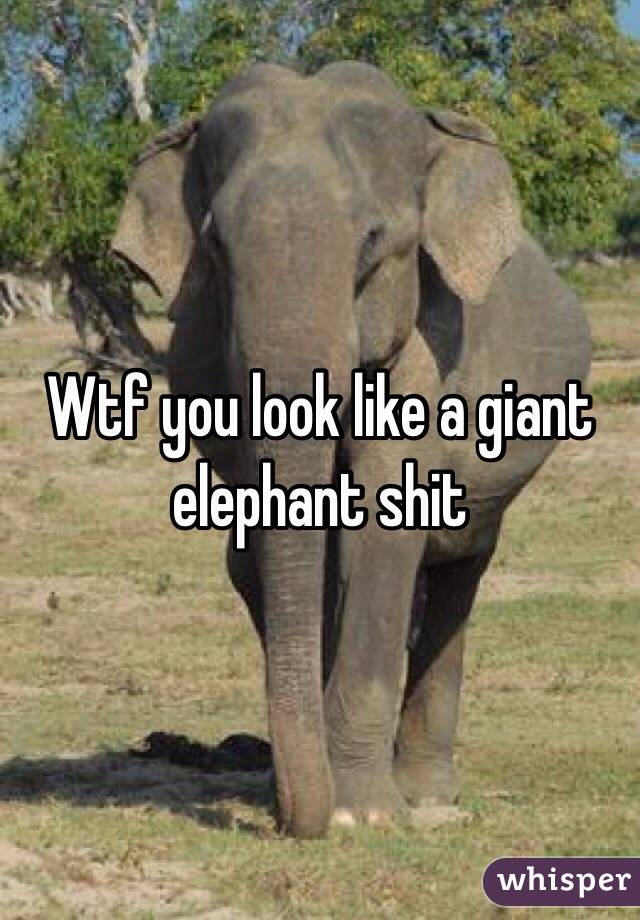 Wtf you look like a giant elephant shit