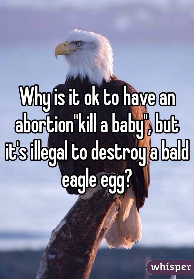 Αποτέλεσμα εικόνας για eagle egg vs abortion