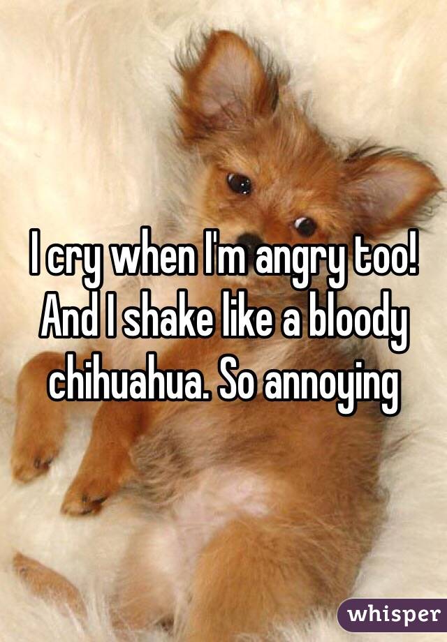 I cry when I'm angry too! And I shake like a bloody chihuahua. So annoying