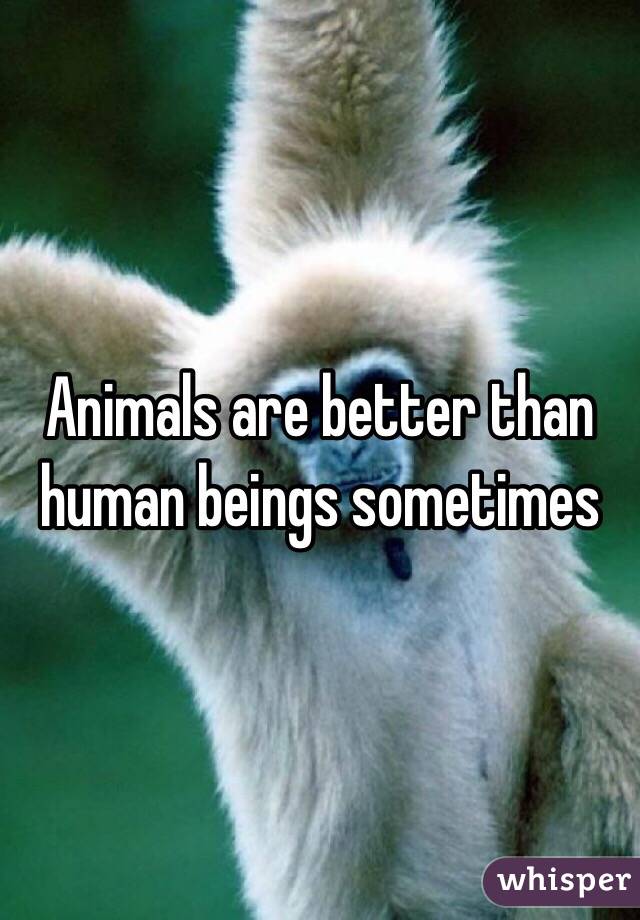 Animals are better than human beings sometimes