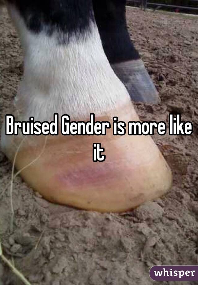 Bruised Gender is more like it