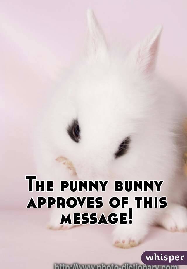 The punny bunny approves of this message!