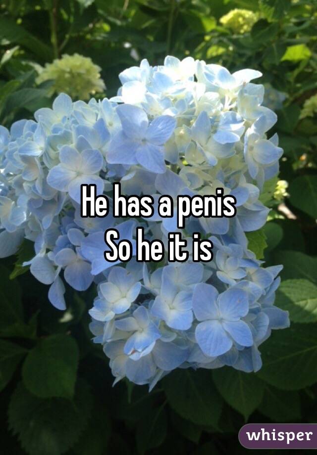 He has a penis
So he it is 