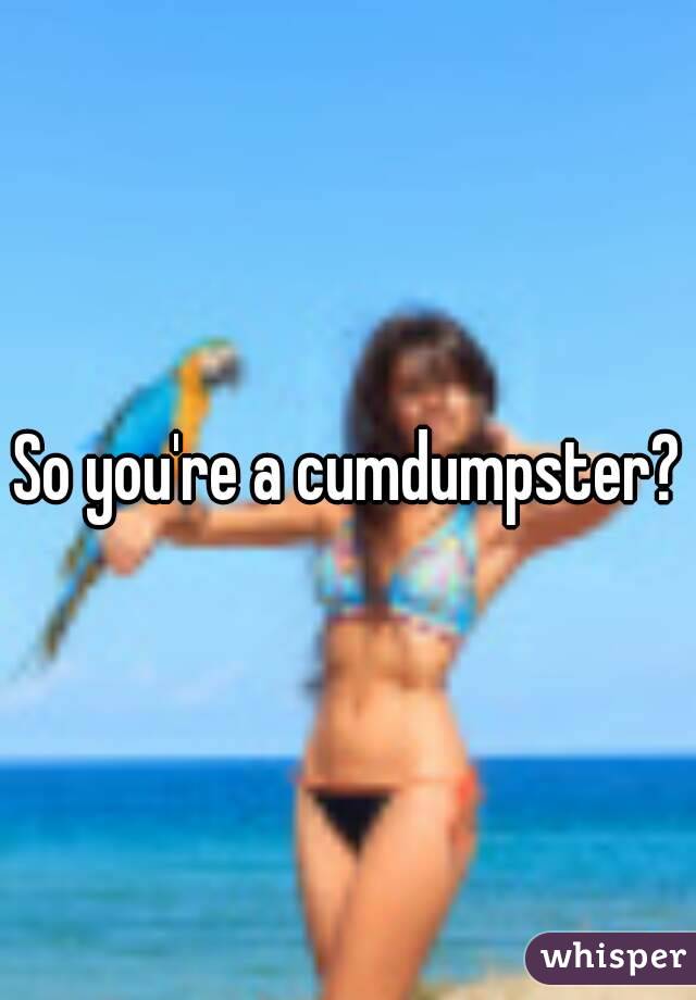 So you're a cumdumpster?