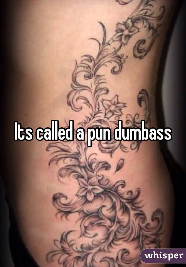 Its called a pun dumbass