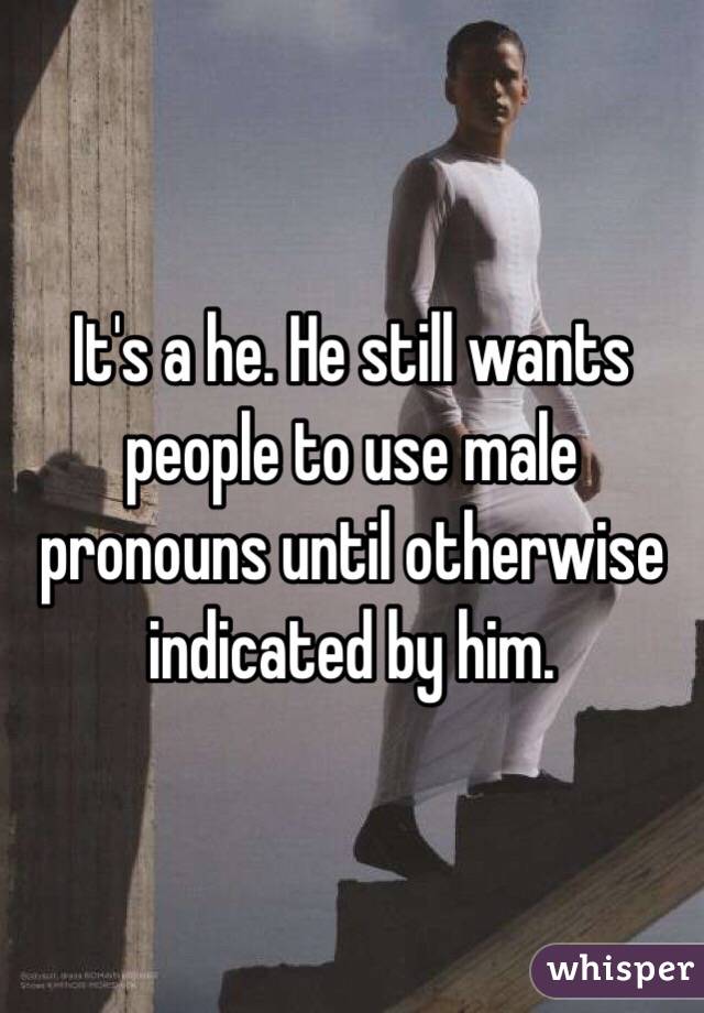 It's a he. He still wants people to use male pronouns until otherwise indicated by him. 