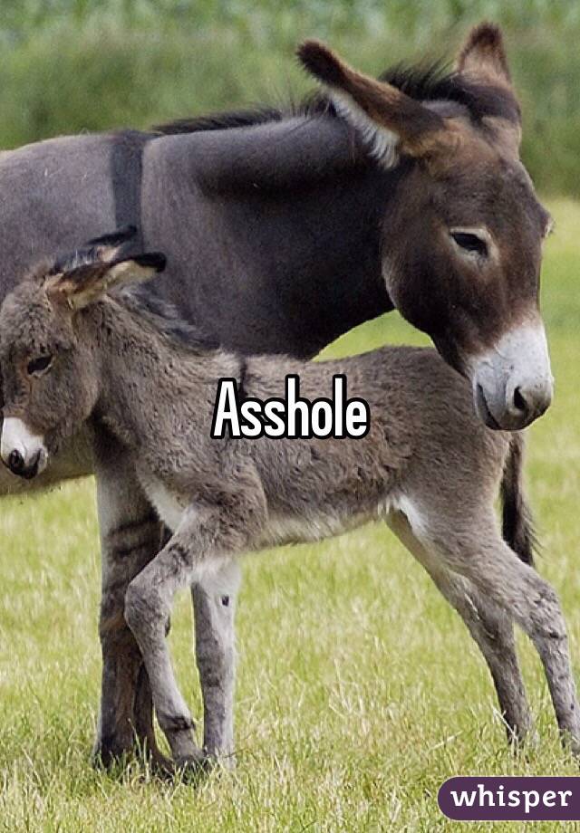 Asshole