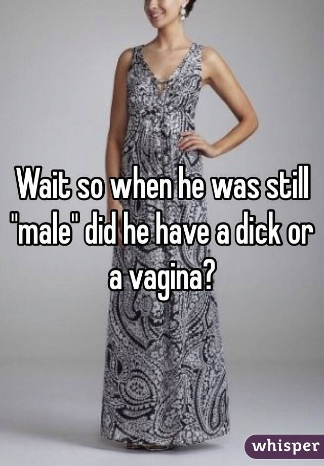 Wait so when he was still "male" did he have a dick or a vagina?