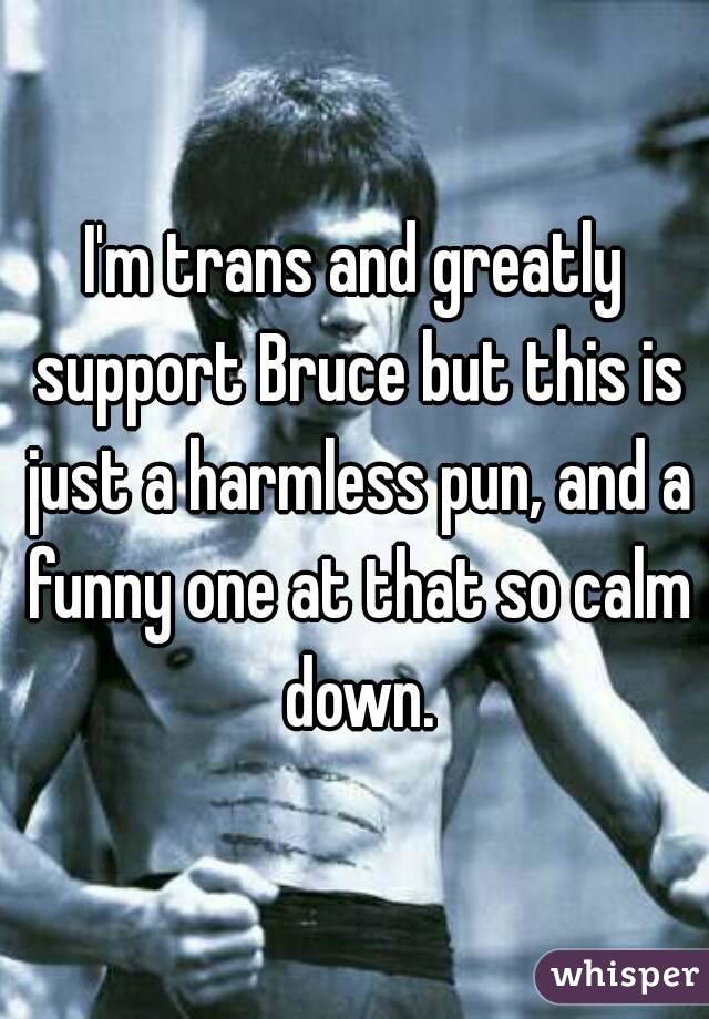 I'm trans and greatly support Bruce but this is just a harmless pun, and a funny one at that so calm down.