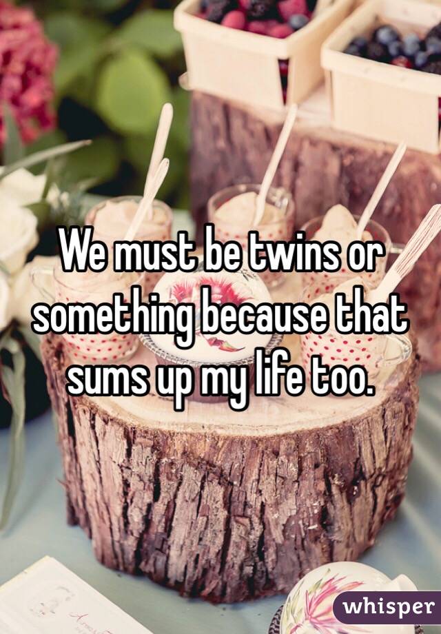 We must be twins or something because that sums up my life too. 
