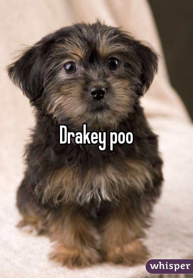 Drakey poo