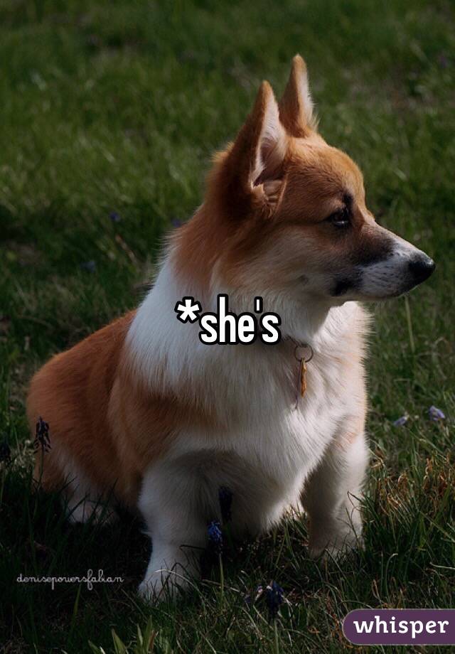 *she's