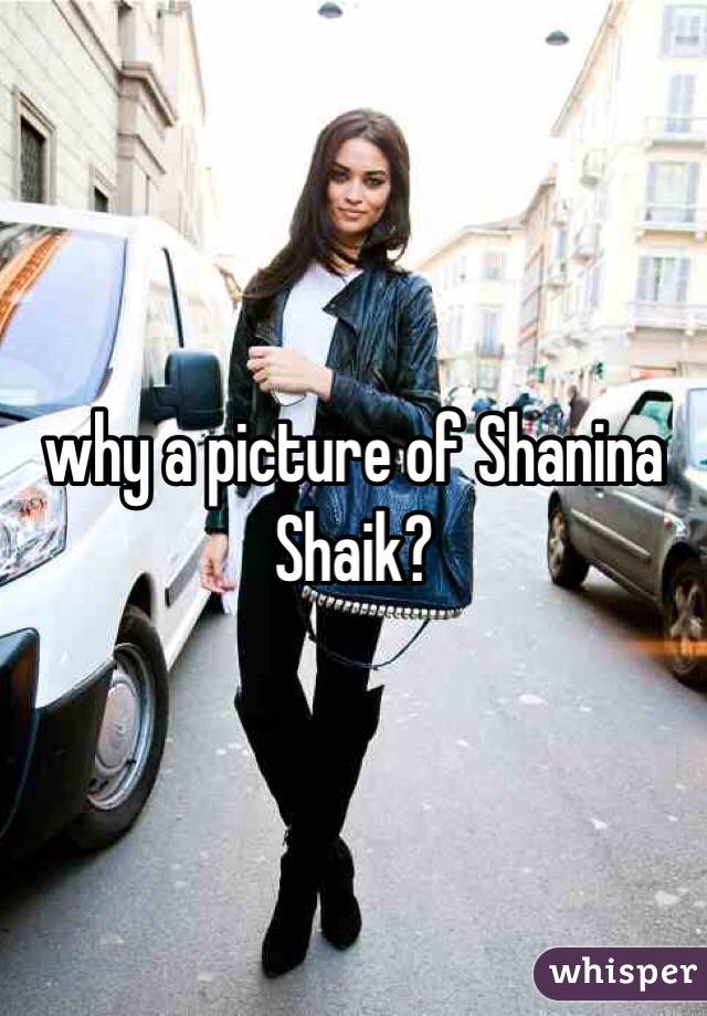 why a picture of Shanina Shaik?