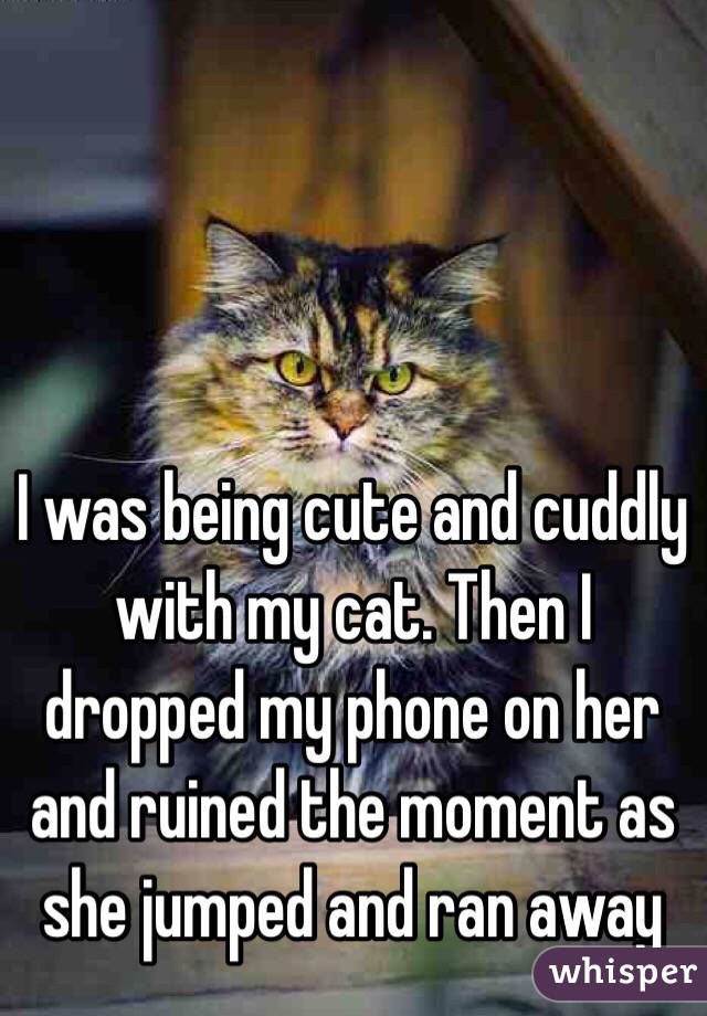 I was being cute and cuddly with my cat. Then I dropped my phone on her and ruined the moment as she jumped and ran away 