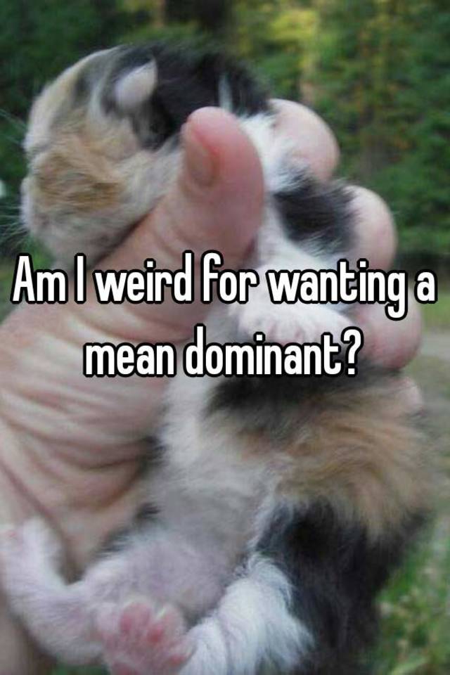 am-i-weird-for-wanting-a-mean-dominant