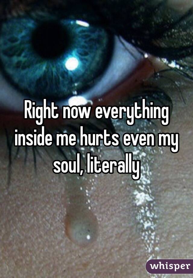 Right now everything inside me hurts even my soul, literally