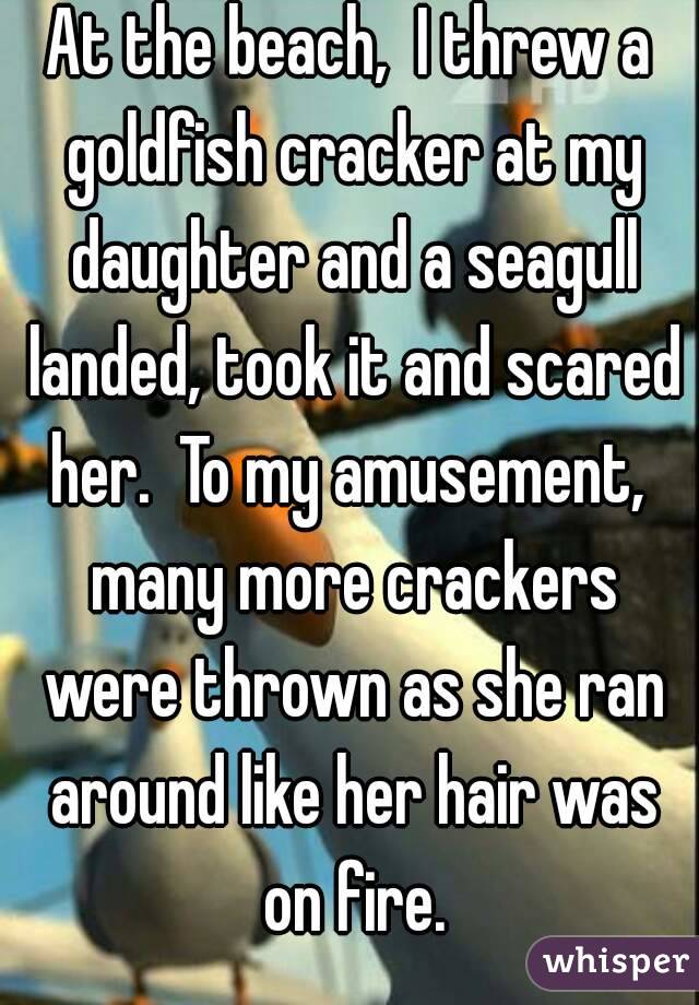 At the beach,  I threw a goldfish cracker at my daughter and a seagull landed, took it and scared her.  To my amusement,  many more crackers were thrown as she ran around like her hair was on fire.