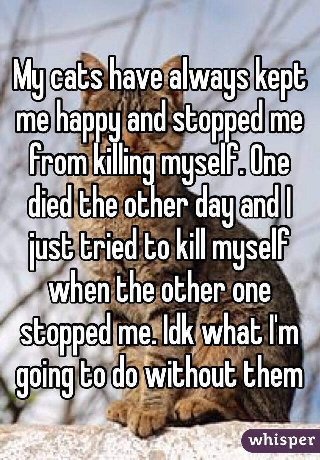 My cats have always kept me happy and stopped me from killing myself. One died the other day and I just tried to kill myself when the other one stopped me. Idk what I'm going to do without them