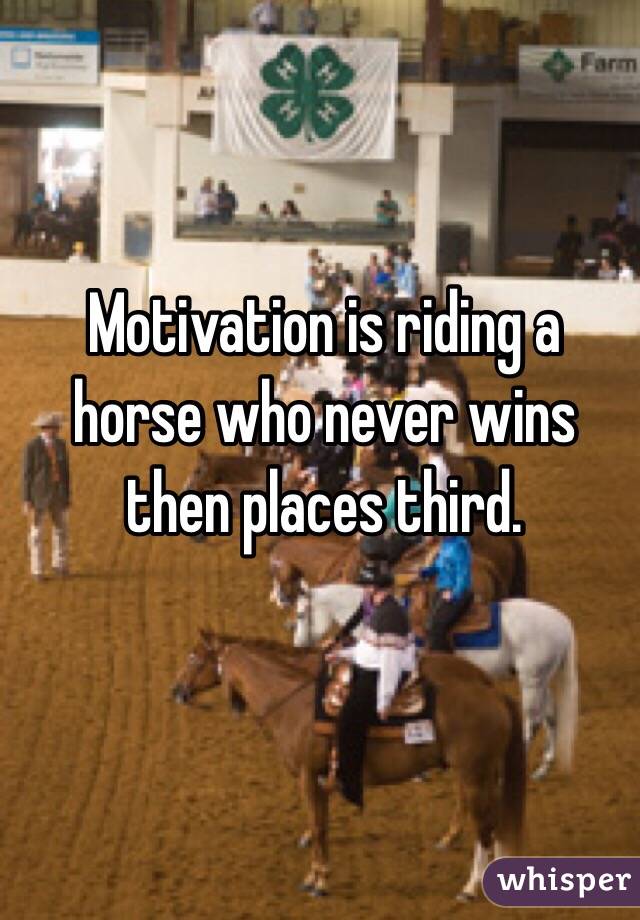 Motivation is riding a horse who never wins then places third. 