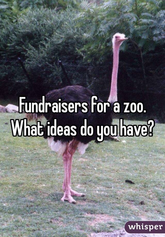 Fundraisers for a zoo.  What ideas do you have? 