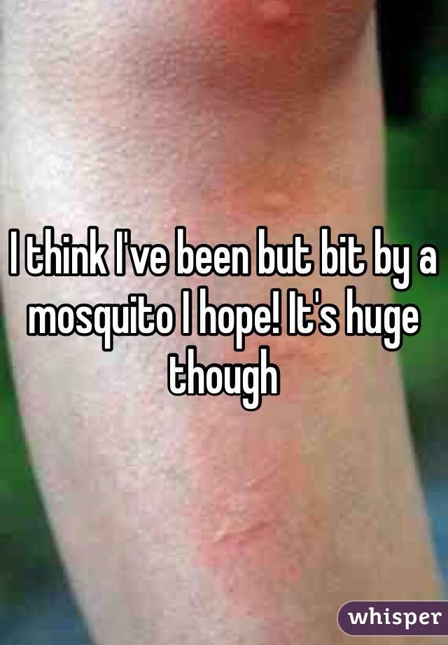 I think I've been but bit by a mosquito I hope! It's huge though