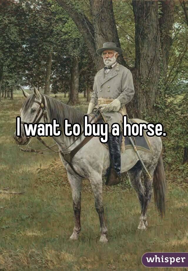 I want to buy a horse. 