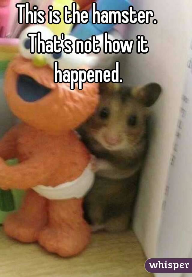 This is the hamster. That's not how it happened.