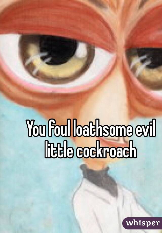 You foul loathsome evil little cockroach  