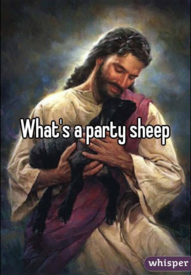 What's a party sheep
