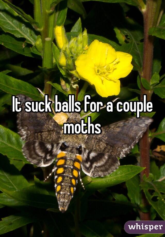 It suck balls for a couple moths