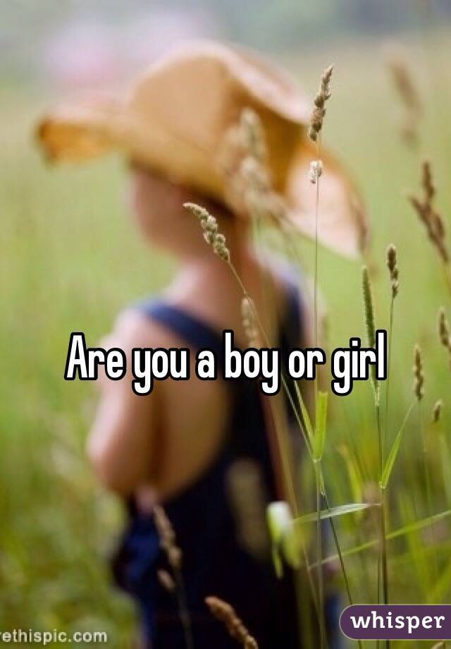 are-you-a-boy-or-girl