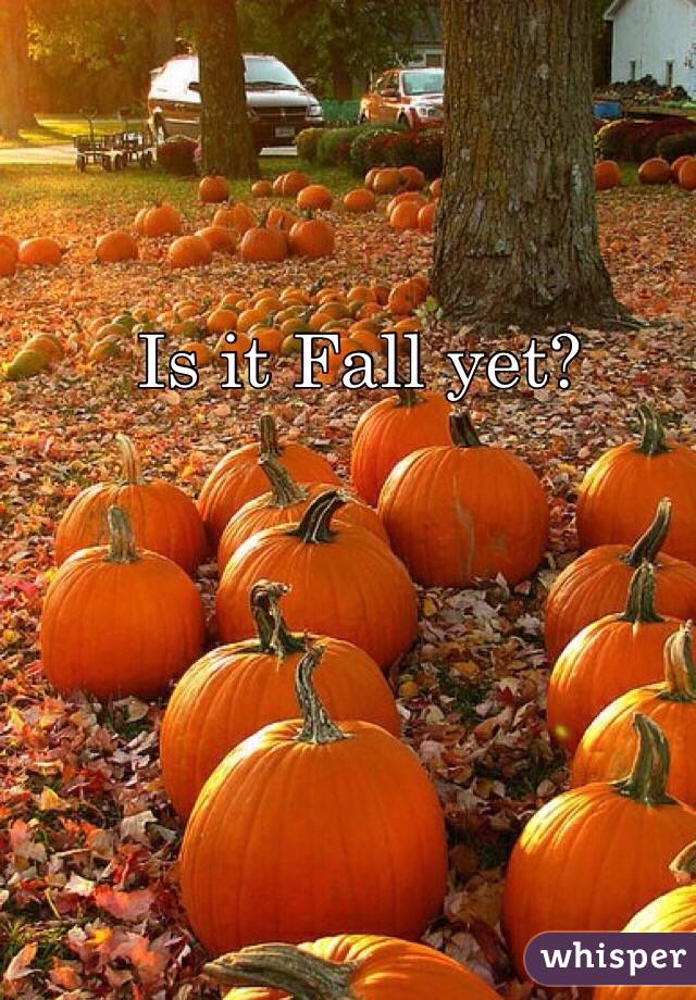 Is it Fall yet? 