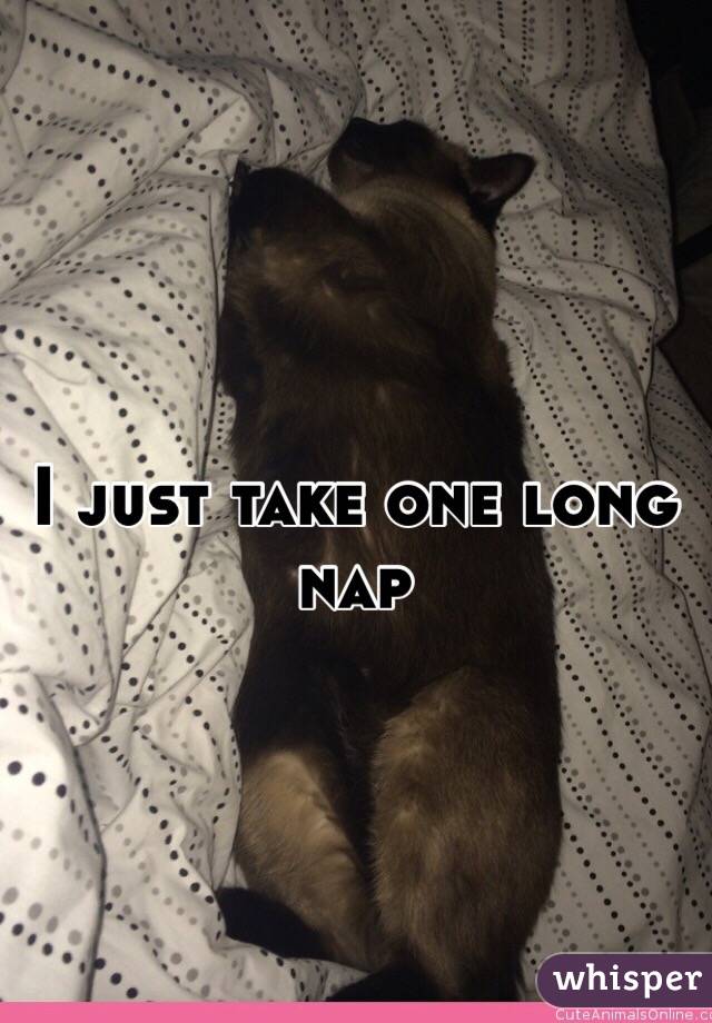 I just take one long nap